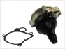 Насос охолоджуючої рідини, з ущільненням BMW 3 (E46), 5 (E39) 2.0D 02.98-09.03 THERMOTEC D1B032TT (фото 1)