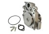 Насос охолоджуючої рідини, з ущільненням CITROEN JUMPER I FIAT DUCATO PEUGEOT BOXER 2.5D/2.8D 03.94- THERMOTEC D1F062TT (фото 1)