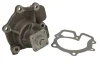 Насос охолоджуючої рідини, з ущільненням FORD TRANSIT, TRANSIT TOURNEO LDV CONVOY 2.4D/2.5D 10.83-04.09 THERMOTEC D1G026TT (фото 2)