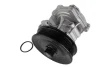 Насос охолоджуючої рідини, з ущільненням FORD TRANSIT LAND ROVER DEFENDER 2.4D 01.00-02.16 THERMOTEC D1G056TT (фото 2)