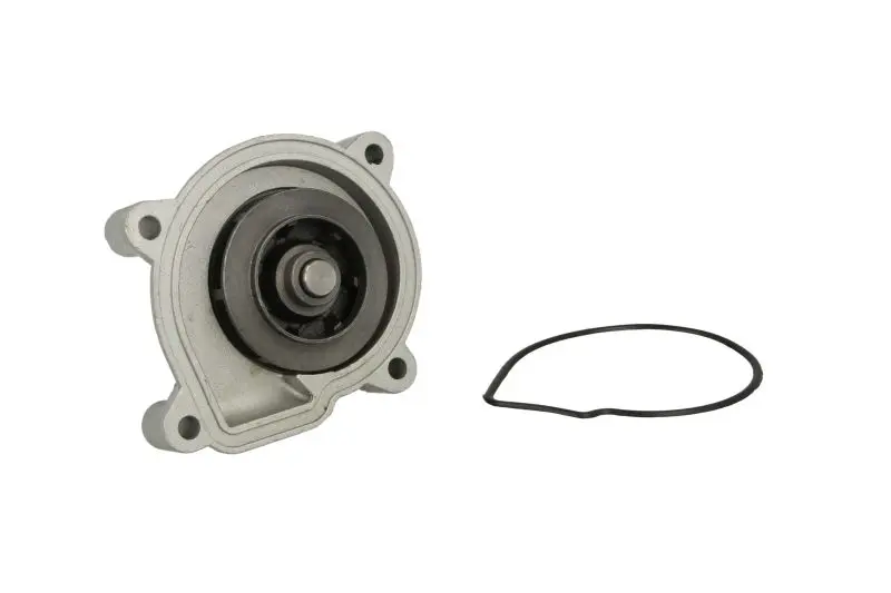 Насос охолоджуючої рідини, з ущільненням AUDI A3 SEAT CORDOBA, IBIZA III, IBIZA IV, IBIZA IV SC SKODA FABIA II, OCTAVIA II, RAPID, ROOMSTER VW EOS, GOLF PLUS V, GOLF V 1.4/1.6/1.8 02.02-05.22 THERMOTEC D1W056TT (фото 1)