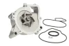 Насос охолоджуючої рідини, з ущільненням ALFA ROMEO 159, BRERA, SPIDER CHEVROLET CAPTIVA, CORSA, EQUINOX, HHR FIAT CROMA OPEL ANTARA A, ASTRA G, ASTRA J GTC, GT, INSIGNIA A 1.0ALK-2.4 08.99- THERMOTEC D1X052TT (фото 1)