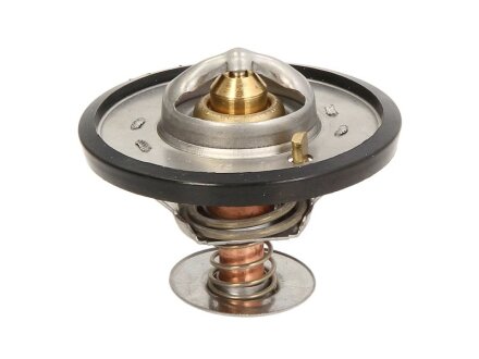 Термостат THERMOTEC D2CA001TT