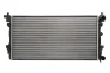 Радіатор двигуна AUDI A1 SEAT IBIZA IV, IBIZA IV SC, IBIZA IV ST, TOLEDO IV SKODA FABIA II, FABIA II PRAKTIK, FABIA III, FABIA III PRAKTIK, RAPID, ROOMSTER, ROOMSTER PRAKTIK 1.0-2.0 09.06-12.22 THERMOTEC D7W061TT (фото 1)