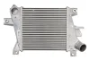 Інтеркулер NISSAN X-TRAIL I 2.2D 06.01-01.13 THERMOTEC DA1011TT (фото 1)