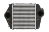 Інтеркулер MAZDA 6 2.0D/2.2D 08.07-07.13 THERMOTEC DA3004TT (фото 1)