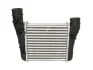 Інтеркулер AUDI A4 B7 SEAT EXEO, EXEO ST 1.8/2.0/2.0D 11.04-05.13 THERMOTEC DAA003TT (фото 1)