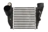 Інтеркулер AUDI A3 SEAT LEON, TOLEDO II SKODA OCTAVIA I VW BORA, BORA I, GOLF IV 1.4-2.8 09.96-12.13 THERMOTEC DAA008TT (фото 1)