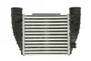 Інтеркулер (права сторона) AUDI A4 B7 SEAT EXEO, EXEO ST 2.0/2.0D 11.04-05.13 THERMOTEC DAA016TT (фото 2)