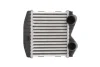 Інтеркулер SMART CABRIO, CITY-COUPE, CROSSBLADE, FORTWO, ROADSTER 0.6/0.7/0.8D 07.98-01.07 THERMOTEC DAM012TT (фото 1)