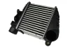 Інтеркулер AUDI A3, TT SEAT LEON, TOLEDO II SKODA OCTAVIA I VW BORA, BORA I, GOLF II, GOLF IV 1.4-1.9D 10.86-12.10 THERMOTEC DAW001TT (фото 1)