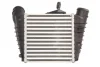 Інтеркулер SEAT CORDOBA, IBIZA III SKODA FABIA I, FABIA I PRAKTIK, FABIA II, ROOMSTER, ROOMSTER PRAKTIK VW FOX, POLO IV 1.4-1.9D 08.99- THERMOTEC DAW006TT (фото 2)