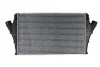 Інтеркулер OPEL SIGNUM, VECTRA C, VECTRA C GTS 2.0D/2.2D 04.02-06.08 THERMOTEC DAX002TT (фото 1)