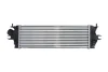 Інтеркулер NISSAN PRIMASTAR OPEL VIVARO A RENAULT TRAFIC II 2.0D/2.5D 04.03- THERMOTEC DAX014TT (фото 2)