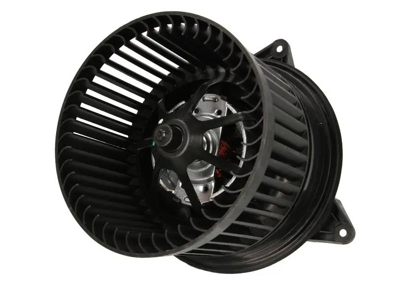 Вентилятор салону FORD FOCUS I, MONDEO III, TOURNEO CONNECT, TRANSIT CONNECT 1.4-3.0 08.98-12.13 THERMOTEC DDG003TT (фото 1)