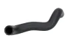 Шланг гумовий системи охолодження Нижн MAZDA 323 C V, 323 F V, 323 P V, 323 S V 1.3/1.5/1.8 07.94-09.98 THERMOTEC DW3014TT (фото 1)