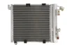 Радіатор кондиціонера OPEL ASTRA G, ASTRA G CLASSIC, ZAFIRA A 1.7D-2.2D 02.98-12.09 THERMOTEC KTT110000 (фото 1)