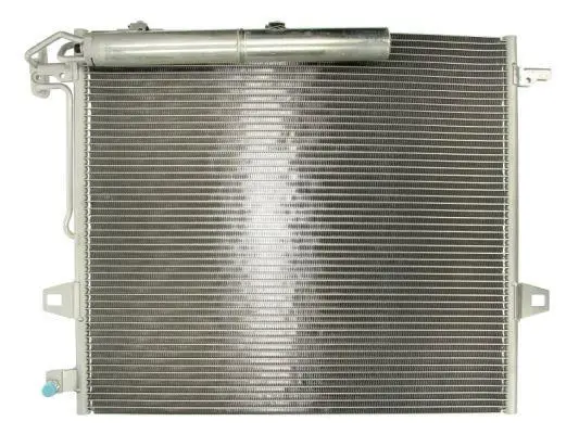 Радіатор кондиціонера (з осушувачем) MERCEDES G (W461), GL (X164), M (W164), R (W251, V251) 3.0-6.3 02.05-07.23 THERMOTEC KTT110306 (фото 1)