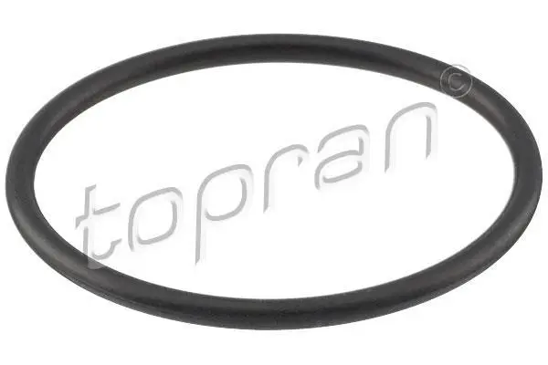 Прокладка термостата AUDI A2 SEAT ALTEA, ALTEA XL, AROSA, CORDOBA, IBIZA II, IBIZA III, IBIZA IV, INCA, LEON, TOLEDO II, TOLEDO III SKODA FABIA I, FABIA II, FELICIA I 1.0-1.6 10.91-10.21 TOPRAN / HANS PRIES 100618 (фото 1)