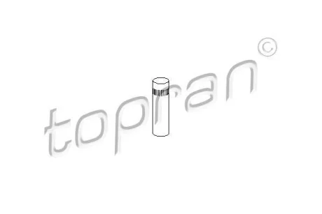 Палець завіси VW GOLF II, JETTA II 08.83-12.92 TOPRAN / HANS PRIES 103416