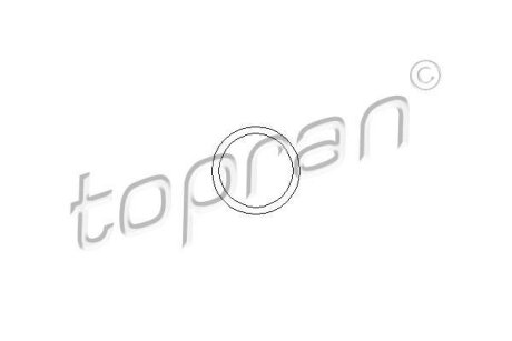 Прокладка трубопроводу системи охолодження TOPRAN / HANS PRIES 109639