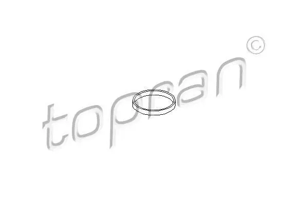 Прокладка впускного колектора SEAT CORDOBA, IBIZA III, TOLEDO IV SKODA FABIA I, FABIA II, RAPID, ROOMSTER, ROOMSTER PRAKTIK VW POLO IV 1.2 10.01-06.15 TOPRAN / HANS PRIES 111052 (фото 1)