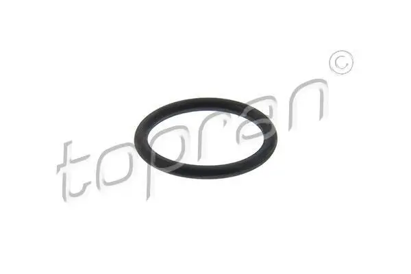 Прокладка болта масляного піддону (20x25x2,5) AUDI Q7 VW TOUAREG 2.5D-6.0D 10.02-03.18 TOPRAN / HANS PRIES 115565 (фото 1)