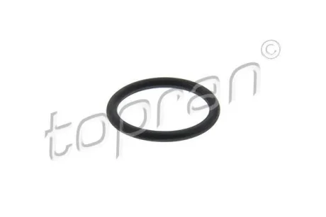 Прокладка болта масляного піддону (20x25x2,5) AUDI Q7 VW TOUAREG 2.5D-6.0D 10.02-03.18 TOPRAN / HANS PRIES 115565