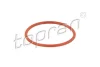 Прокладка клапана EGR AUDI A2, A3, A4 B6, A4 B7, A6 C6 SEAT ALHAMBRA, ALTEA, ALTEA XL, AROSA, CORDOBA, IBIZA II, IBIZA III, IBIZA IV, LEON, TOLEDO II SKODA FABIA I 1.2D-2.0D 09.95-08.11 TOPRAN / HANS PRIES 115583 (фото 1)