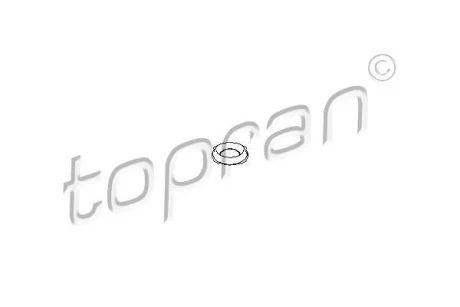 Шайба інжектора (6x11,4) OPEL COMBO, CORSA A, CORSA A TR, CORSA B, VECTRA A, VECTRA B 1.5D/1.7D 06.87-10.01 TOPRAN / HANS PRIES 206012