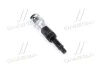 Насадка TORX, торцевий 1/2", для зняття шківа / для демонтажу шківів генератора, для відкручування / для затягування, розмір ключа для гнізда E-TORX: T50 Toptul JDCD3350 (фото 1)