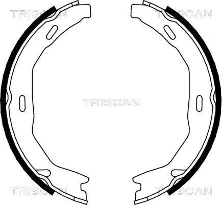 Комплект гальмівних колодок стоянкового гальма TRISCAN 810023029 (фото 1)