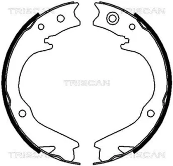 Комплект гальмівних колодок, стоянкове гальмо TRISCAN 810068003