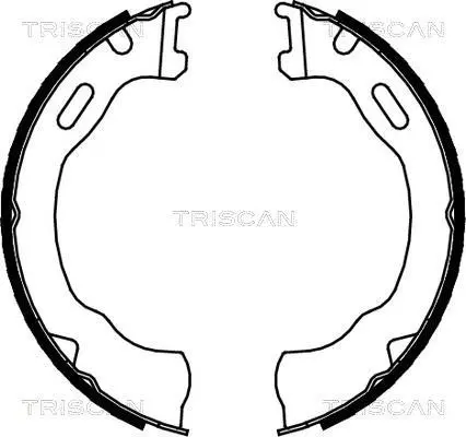 Комплект гальмівних колодок стоянкового гальма TRISCAN 810080007 (фото 1)