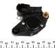 Реле генератора (12V) Citroen Berlingo/Fiat Scudo/Ducato/VW T4 (Valeo) TRUCKTEC 02.17.076 (фото 3)