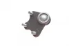 Опора кульова (передня/знизу/L) Audi A1 10-/Seat Ibiza 02-15/Skoda Fabia 99-14/Rapid 12-/VW Polo 01 AUTOMOTIVE TRUCKTEC 07.31.230 (фото 5)