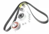 Комплект ГРМ VW T5/ Caddy/Crafter 1.6TDI-2.0TDI 09- VAG 03L198119F (фото 1)