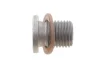 Болт зливу оливи + шайба VW Golf V 05-08/Jetta 2.0 10-17 (M14x1.5x17) VAG N91086801 (фото 1)