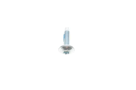 Болт-саморіз VW/SEAT (M6x22) VAG WHT005451