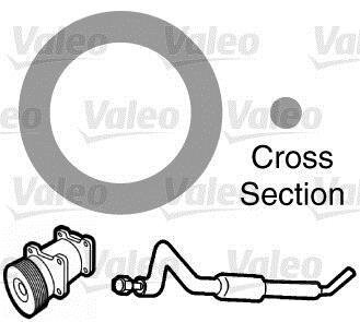 Ущільнювальні кільця кондиціонера (ціна за 20szt., 10,9x15,76x2,43мм) Valeo 509300