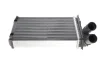 Радіатор пічки Citroen Berlingo/Peugeot Partner 1.0-2.0 HDi/D 96- (157x234x42) VAN WEZEL Van Wezel 09006055 (фото 4)