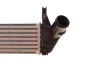 Радіатор інтеркулера Dacia Duster/Logan/Sandero 1.5 dCi 08- VAN WEZEL Van Wezel 15004006 (фото 4)
