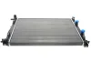 Радіатор охолодження Renault Megane II/ Scenic II 02-09 VAN WEZEL Van Wezel 43002307 (фото 1)
