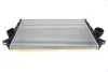 Радіатор інтеркулера Ford Galaxy/VW Sharan 1.9/2.0TDI 02-10 VAN WEZEL Van Wezel 58004251 (фото 1)