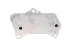 Радіатор масляний VW Caddy III/IV/Passat 05-14/Skoda Octavia 1.2-2.0/1.6-2.0 TDI 04-13 VAN WEZEL Van Wezel 58013701 (фото 2)