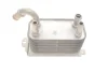 Радіатор масляний Ford Fiesta VI/Kuga II/Mondeo IV 1.6-2.5 09- VAN WEZEL Van Wezel 59003170 (фото 7)