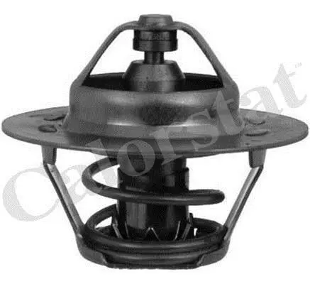 Термостат Peugeot 205/405/Boxer/ Laguna/Megane/Clio 1.1-2.0 86- (83C) Vernet TH5108.83J (фото 1)