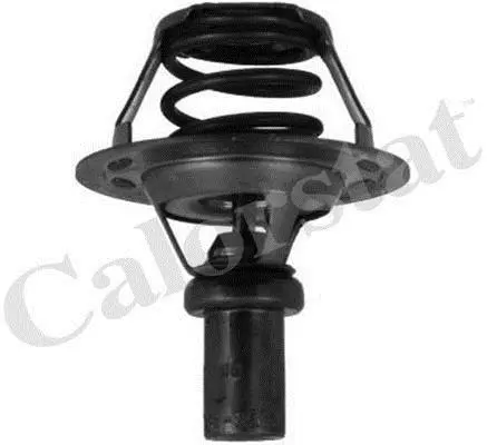 Термостат Renault Rapid/ Clio 1.2-1.4i 90- (91 C) Vernet TH5284.91J (фото 1)