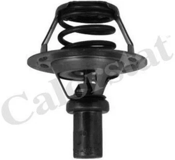 Термостат Renault Rapid/ Clio 1.2-1.4i 90- (91 C) Vernet TH5284.91J
