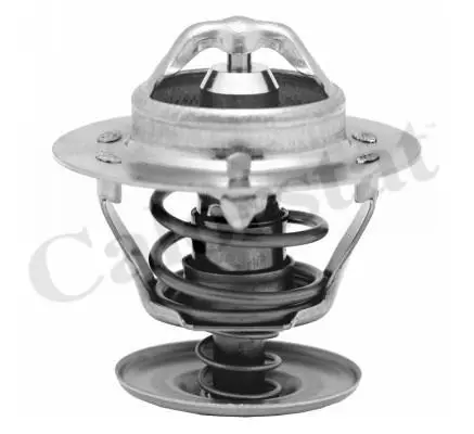 Термостат Transit/Fiesta/Focus/Mondeo 1.6-2.5 TD/TDCI/TDI/i 90- (91 C) Vernet TH5750.92J (фото 1)